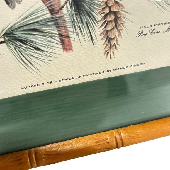 Vintage Arthur Singer framed art print #8 illustration Chikadee birds & flowers - Picture 3 of 10